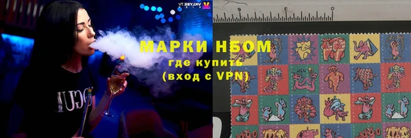 тгк Новодвинск