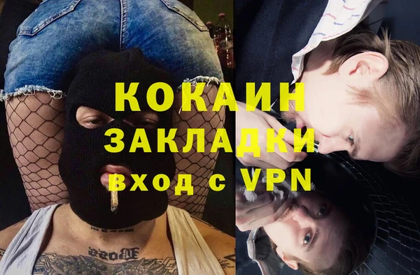 прущие крисы Болотное