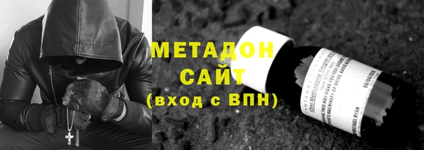 сатива Новозыбков