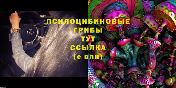 тгк Новодвинск