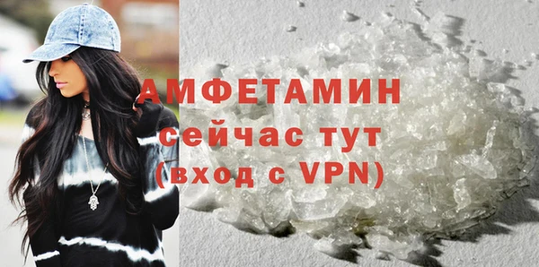 сатива Новозыбков