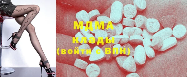 сатива Новозыбков